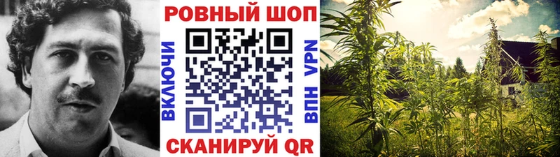 Продажа наркотиков Шенкурск MDMA COCAIN Alpha PVP Меф Гашиш Каннабис