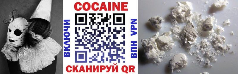 ссылка на мегу сайт  Шенкурск  Кокаин Колумбийский  купить закладку 