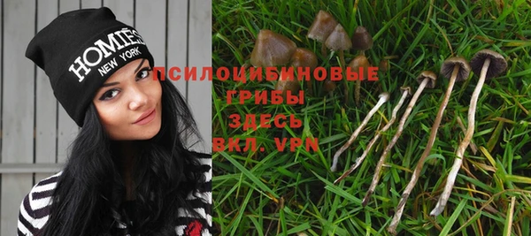 бутират Абаза