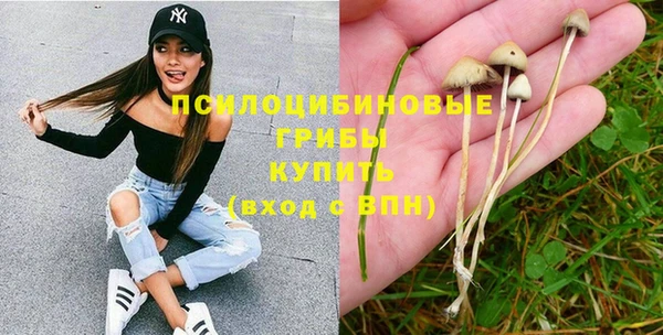 apvp Абинск
