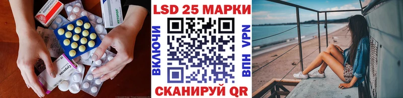что такое   Шенкурск  Лсд 25 экстази кислота 
