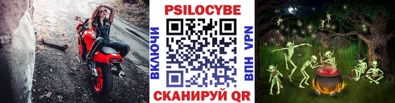 что такое   Шенкурск  блэк спрут ТОР  Галлюциногенные грибы прущие грибы 
