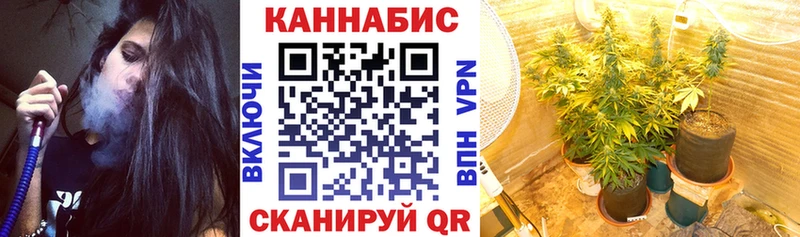 МАРИХУАНА Bruce Banner  купить наркотики сайты  Шенкурск 
